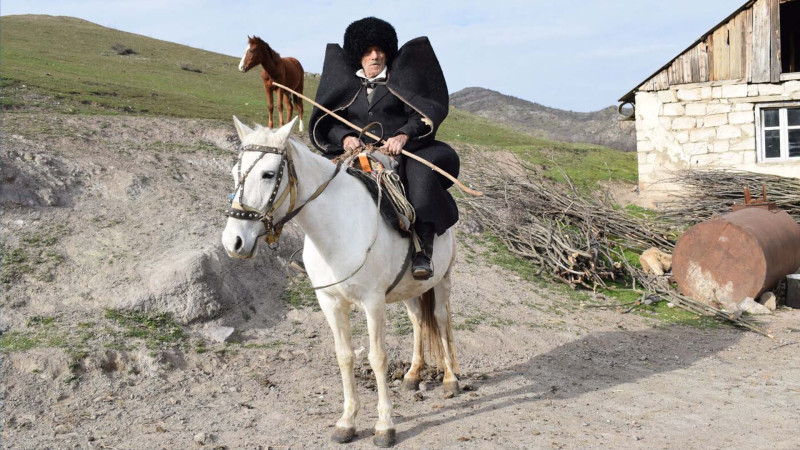 Çobanlar yoxa çıxıb - Fermerlər NARAHATDIR