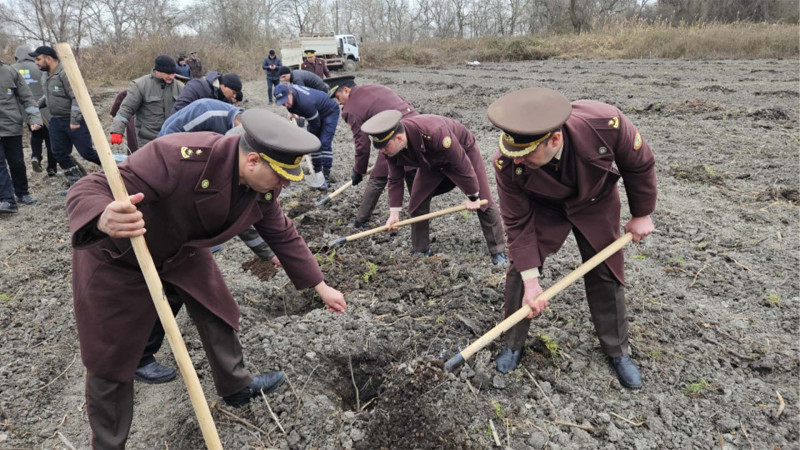 Şimalda meşəbərpa aksiyası keçirilib