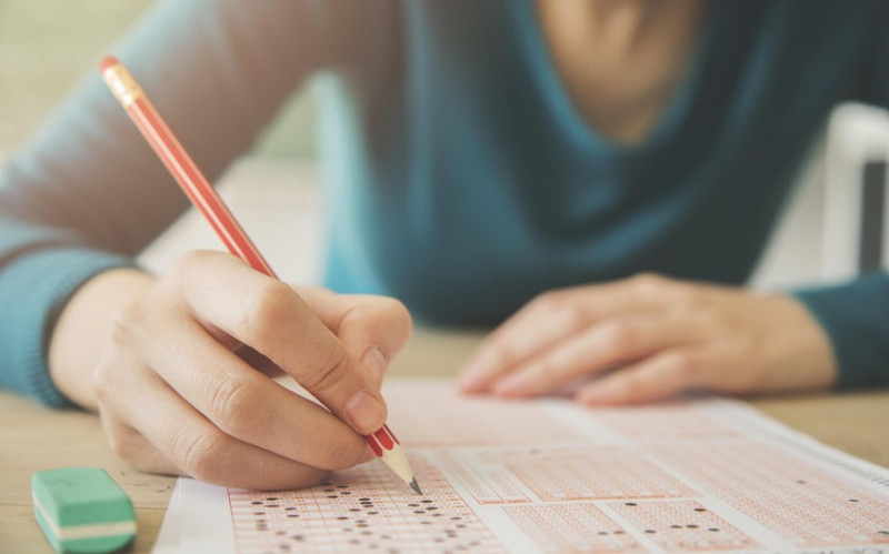 Ali məktəblərə ixtisas seçimi başlayır