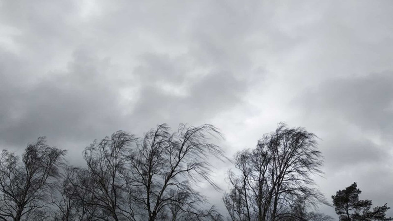 Bu rayonlarda güclü külək əsəcək - XƏBƏRDARLIQ