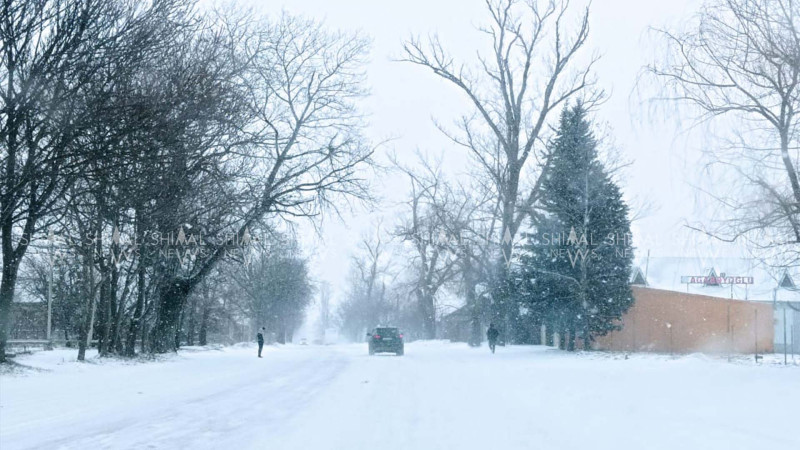 Quba-Xaçmaz yolunda vəziyyət - VİDEO