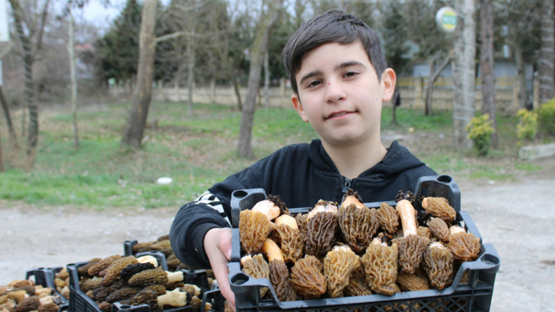 İki kiloqram quzu əti qiymətinə satılan quzuqarnı - FOTO