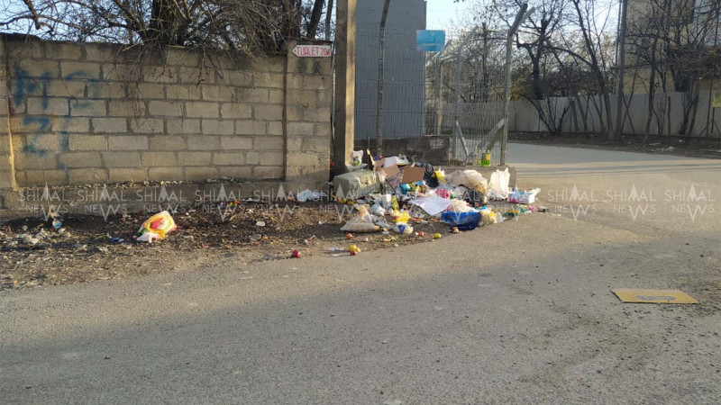 Qubada bu zibilliyə göz yumulur - FOTO