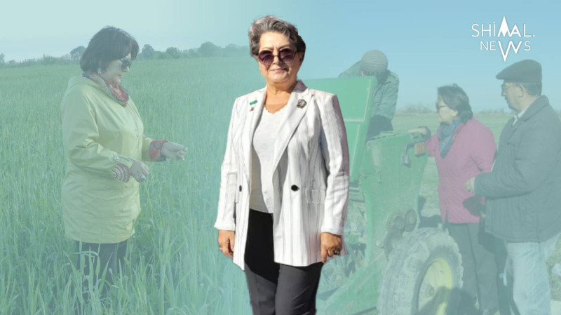 “Yoldaşım mənimlə fəxr edir, hər yerdə deyir ki, xanımım kənd təsərrüfatı ilə məşğuldur” - Sahibkar qadın ilə ÖZƏL MÜSAHİBƏ