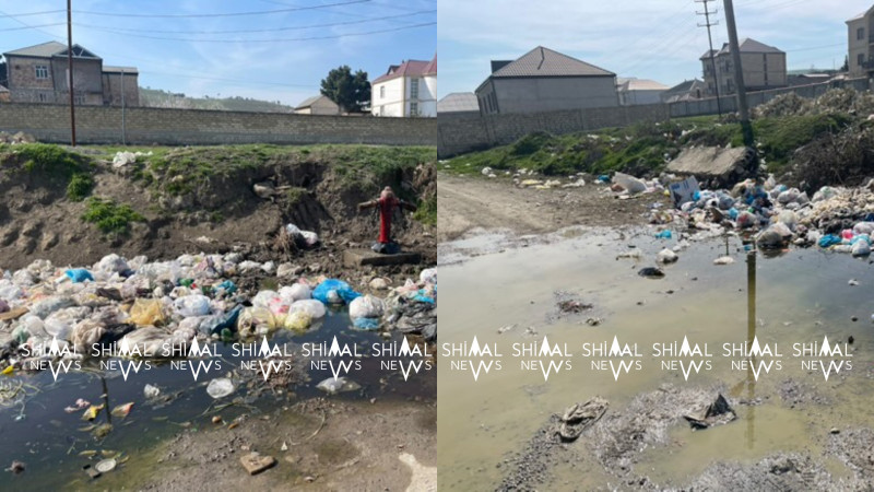 Şabranda məsuliyyətsizlik və laqeydlik hökm sürür