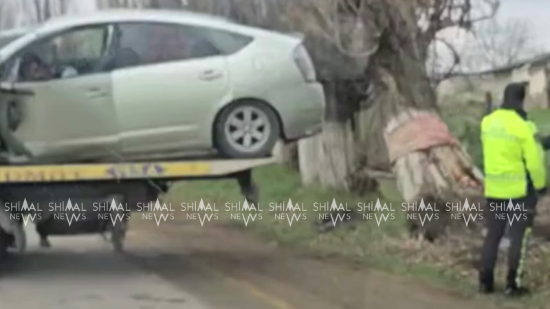 Qubada Prius ağaca çırpıldı – VİDEO