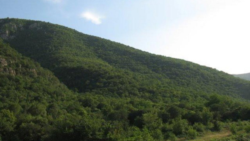 Daha bir neçə qoruğun sərhəd xəritələri hazırlanacaq