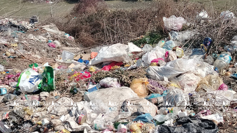 Shimal.News-un işıqlandırdığı daha bir problem həllini tapır - VİDEO