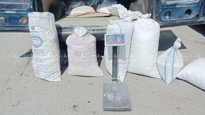 Xaçmazda fındıq bahalaşıb