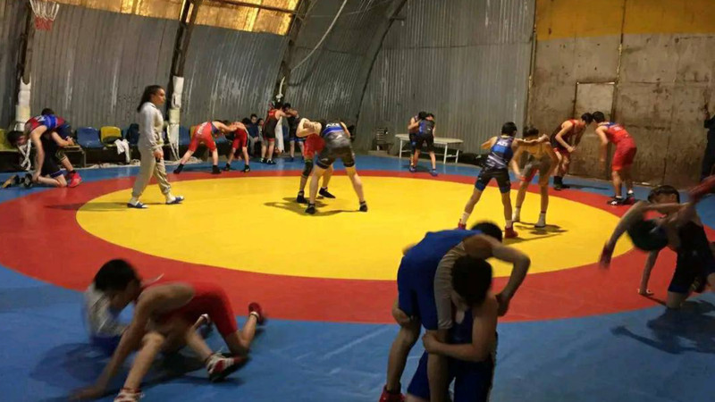 Siyəzəndə sərbəst güləş üzrə kütləvi tədbir