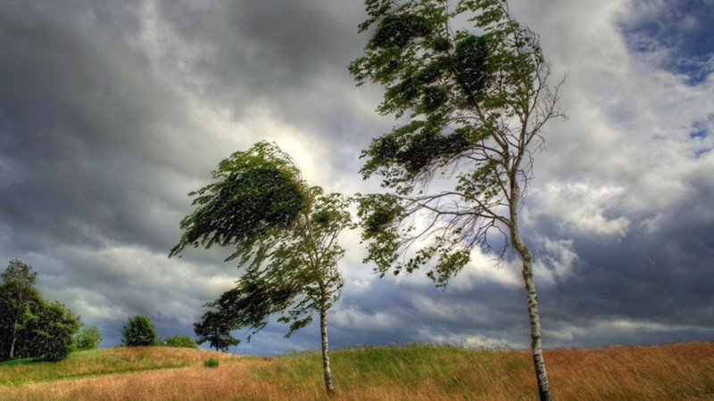 Şimala sarı və narıncı XƏBƏRDARLIQ