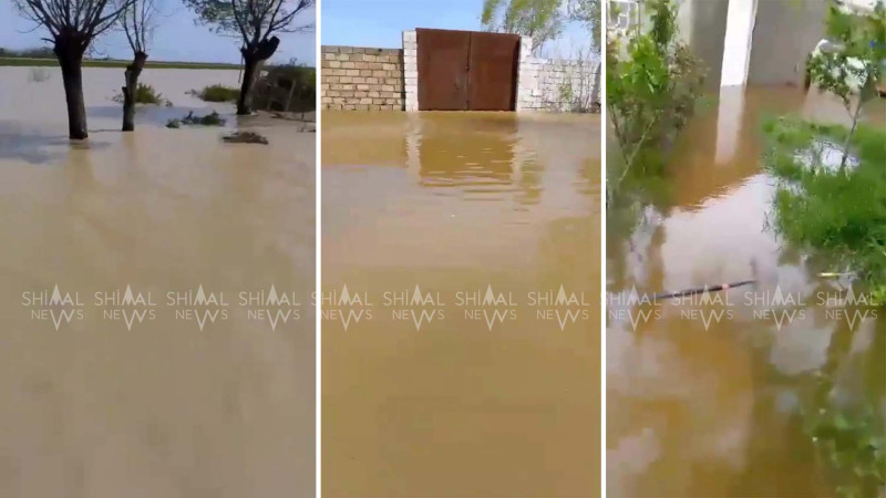 Bura Venesiya deyil, Şabrandır - VİDEO