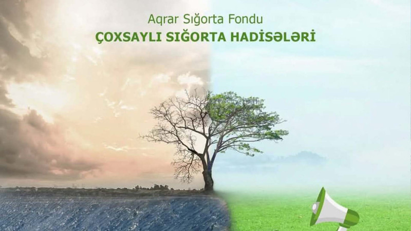 Leysanın ziyan vurduğu fermerlərə MÜJDƏ