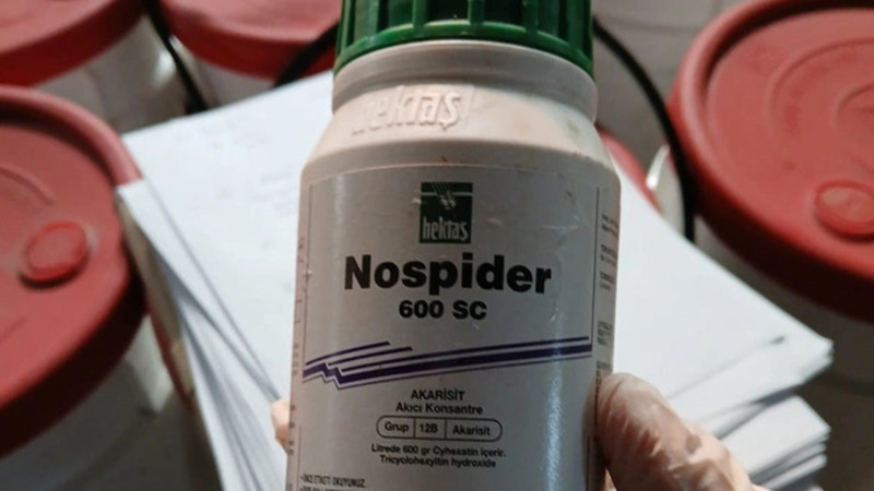 Xaçmazda anbar və satış mağazasında nöqsanlar aşkarlandı