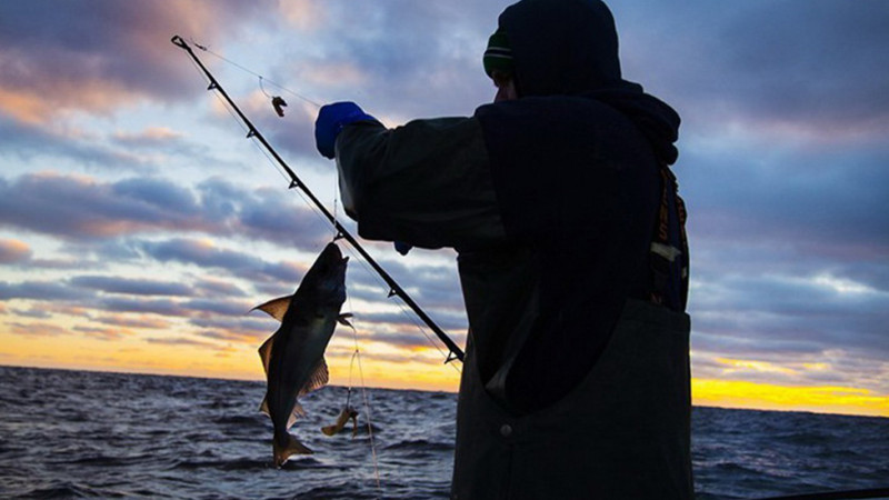 Qanunsuz balıq ovlayan xaçmazlı saxlanıldı