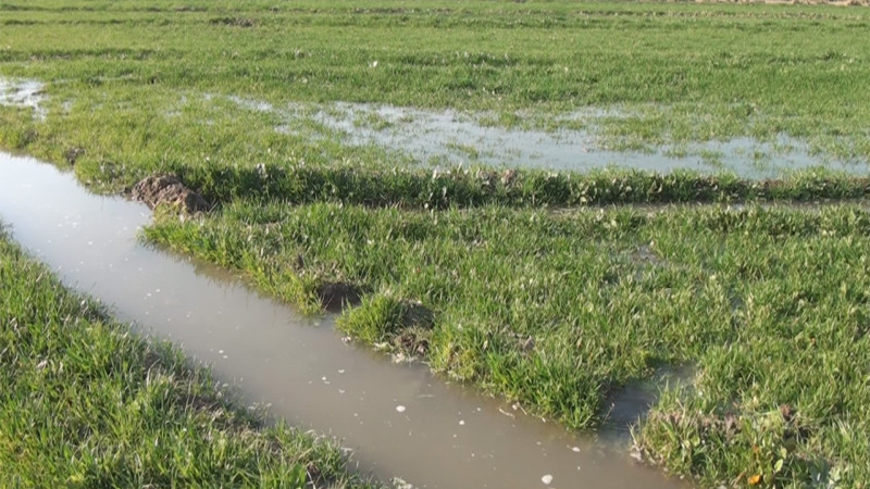 İsmayıllı və Şamaxıda torpağın suvarılması yaxşılaşdırılacaq