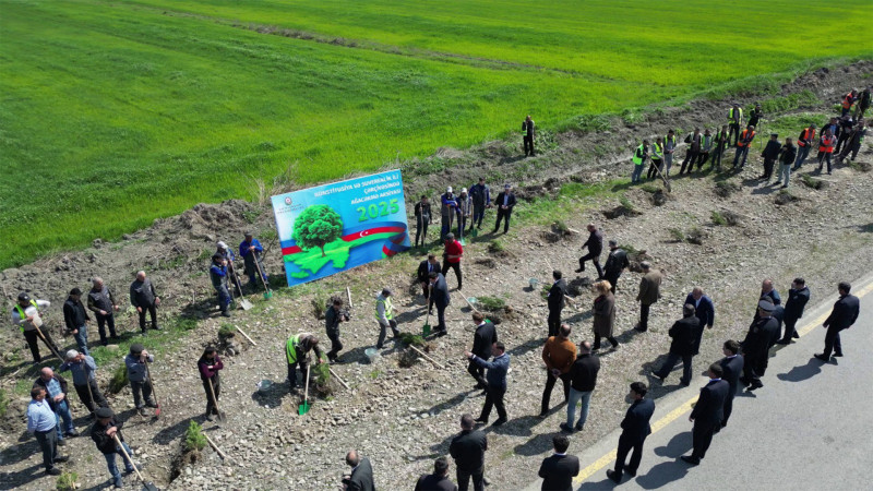 Xaçmazda ağacəkmə aksiyası keçirilib