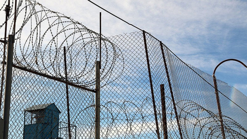 Şimal məhkəmələrində məhkum olunan bu şəxslər əfv edildi