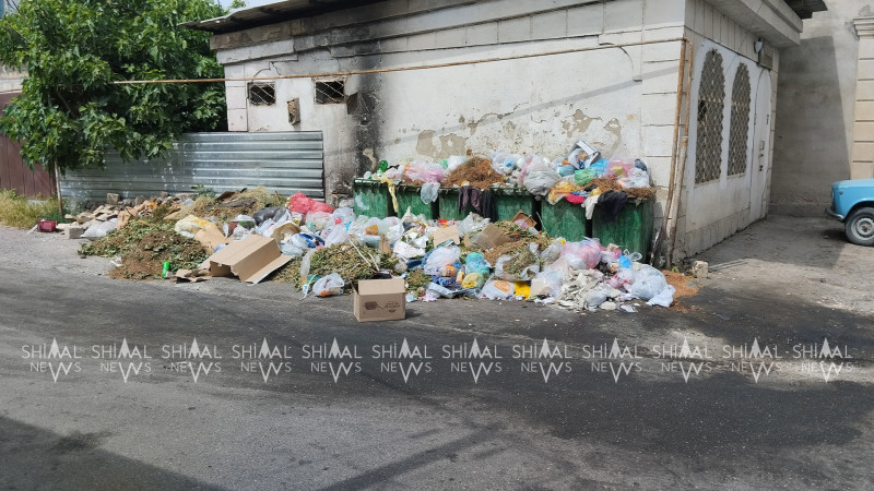 Ərazidən keçmək olmur - Xaçmazın zibil problemi bitmir - VİDEO