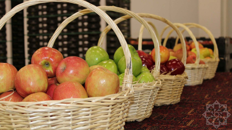 Qusar bu ölkələri meyvə ilə təmin edir