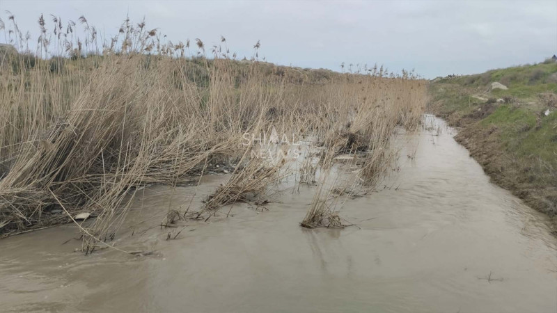 Şabranda əkin sahələri təhlükə altındadır