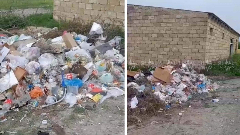 Şabranda Babək küçəsi zibilliyə çevrilib - VİDEO