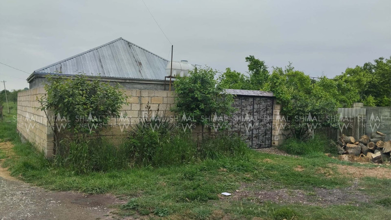 Xaçmaz sakini cinsiyyət orqanından bıçaqlanıb - DETALLAR