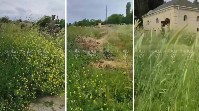 Şabranda “Hacı Hüseyn” qəbiristanlığının acı mənzərəsi - VİDEO