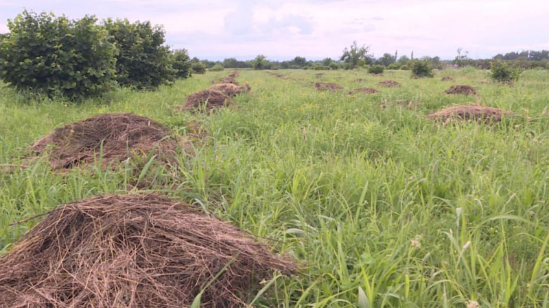 İsmayıllı sakinləri: Örüş sahəsində hotel tikilir