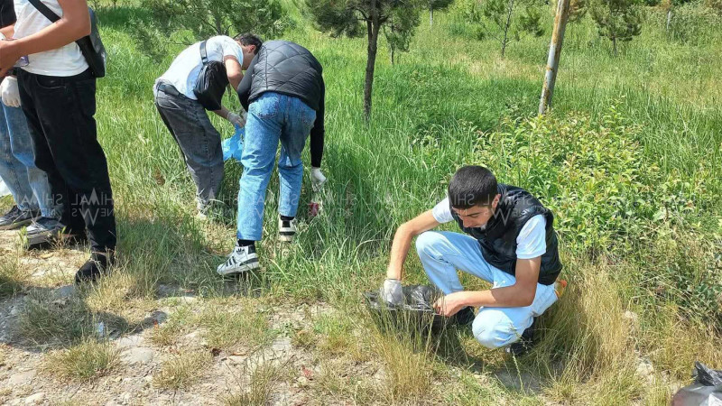 Qusarda gənclər ekoloji aksiyada iştirak ediblər - FOTO