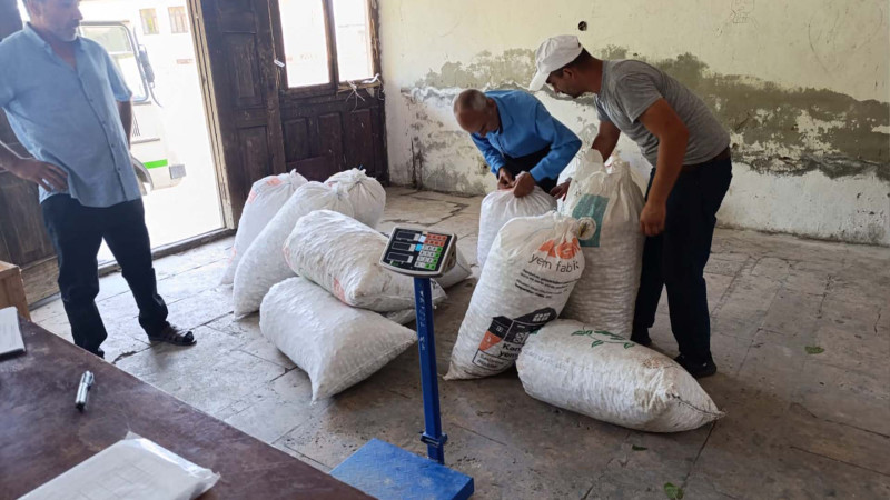 Balakəndə yaş barama tədarükünə başlanılıb