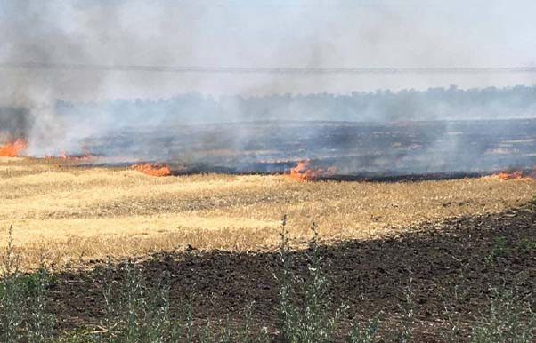 İsmayıllıda yanğın qeydə alınıb