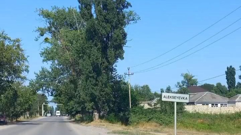 Qubada zibil və sahibsiz it problemi bitmir ki, bitmir…