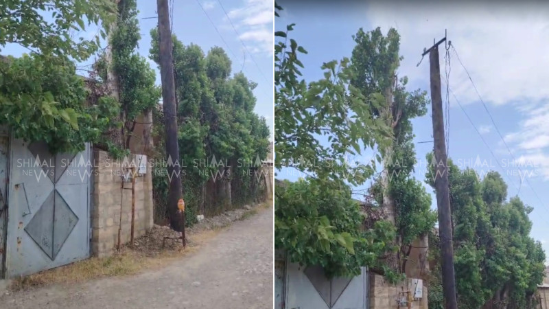 Shimal.News yazdı, daha bir problem həllini tapdı - VİDEO