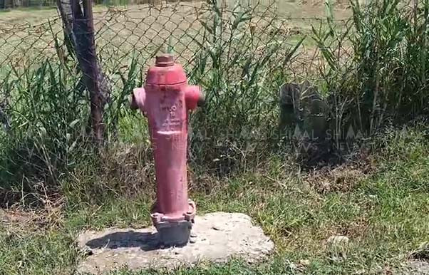 Shimal.News daha bir problemin həllinə nail oldu