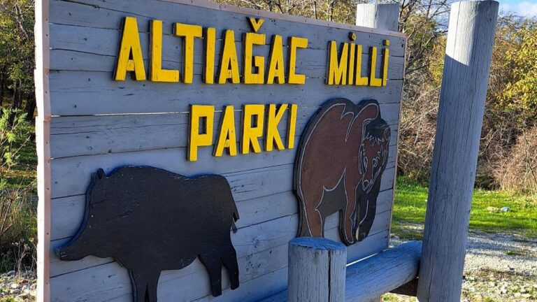 Altıağac Milli Parkına piyada yürüş təşkil olunacaq