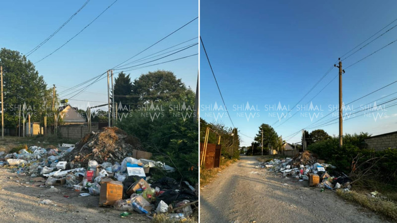 Xaçmazın bu kəndi zibilə təslim oldu - VİDEO