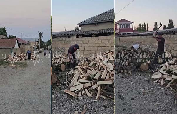 Qubada kəndlilər yayda qışın qayğısına qalmağa başlayıblar - VİDEO