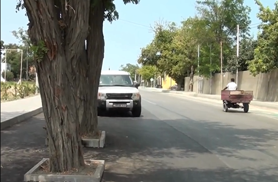 Xaçmazda yolun ortasında ağac