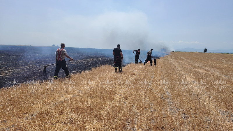 Xaçmazda güclü yanğın - VİDEO