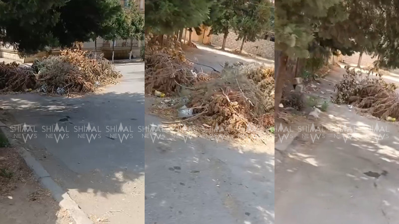 Xaçmazdakı “Əlillər binası”na laqeyd münasibət - VİDEO