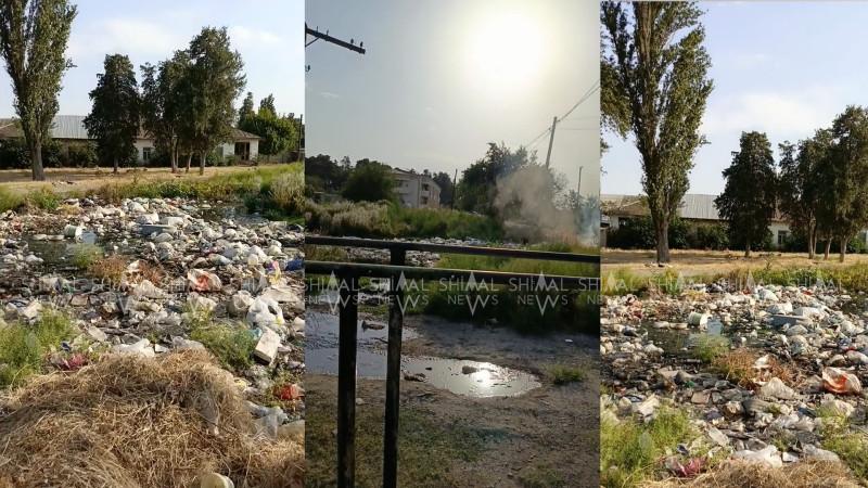 Şabranda zibillik və kanalizasiya “qovuşdu” - VİDEO