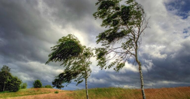 Bəzi bölgələrdə güclü külək əsəcək - XƏBƏRDARLIQ