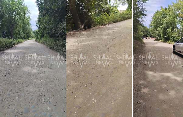 Nabranın 1 km-lik yolunu təmir edən tapılmır – VİDEO