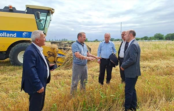 Qusarda taxıl biçini davam edir - FOTO