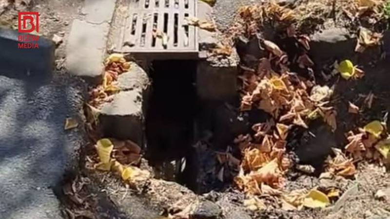 Zaqatalada ayaq altına diqqət olunmalıdır - FOTO