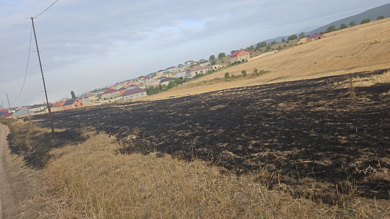 Qubada əkin sahəsini yandıran şəxs saxlanılıb