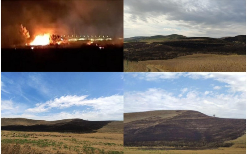 Şabranda əkin sahələrini yandıranlar saxlanıldı