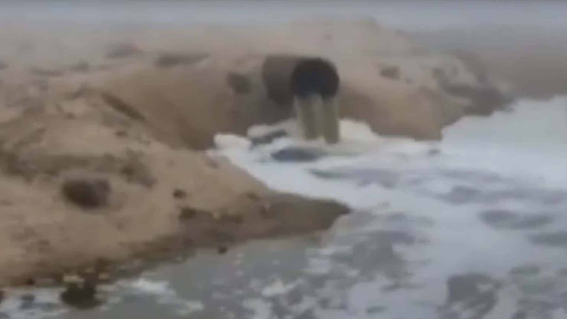 Nabran çimərliyi çirkab BATAQLIĞINDA – VİDEO