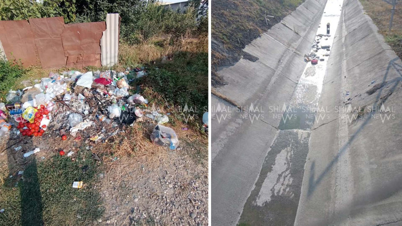 Qubanın Barlı qəsəbəsində antisanitar vəziyyət - FOTO
